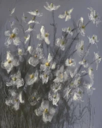 Dromerige witte bloemen