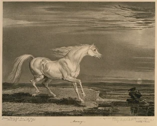 Marengo, uit Beroemde paarden, een set van veertien raceprenten gepubliceerd door de kunstenaar, 1823-24