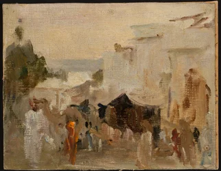 Straat in Udaipur. Van een reis naar India