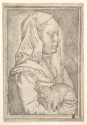 Meisje met een kat, 1546