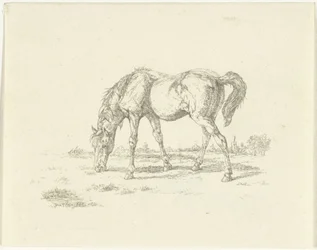 Grazend paard naar rechts