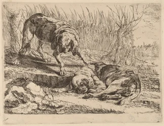 Twee Beagles, Een Slapend