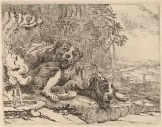 Twee Mastiffs naast een Fontein