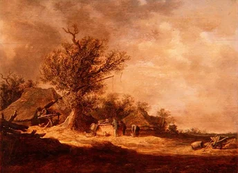 Landschap in de Duinen