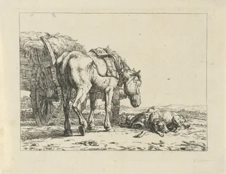 Paard en hond bij een hooiwagen