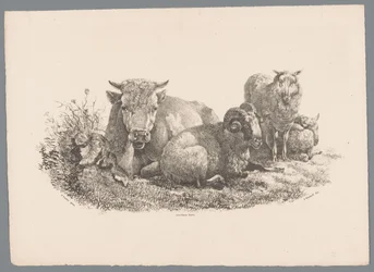 Koe, ram en twee schapen