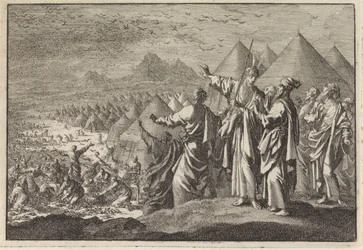Kwartels in de woestijn