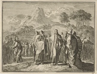 Plukken van koren op de sabbat