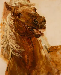 Schets van een paardenhoofd voor het schilderij "Zamoyski bij Byczyna"