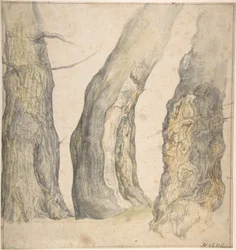 Studie van Drie Oude Kromme Bomen, 1660