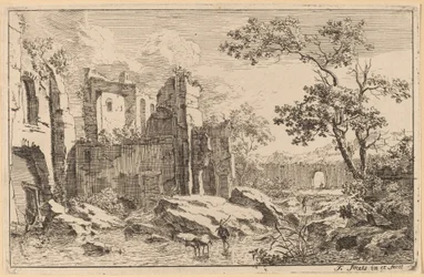 Man en Os in een Rivier