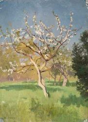 Appelboom in bloei