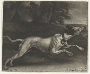 Rennende hond