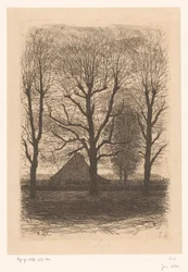 Boerderij tussen hoge bomen, Ewijkshoeve