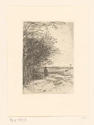 Vrouw in een landschap