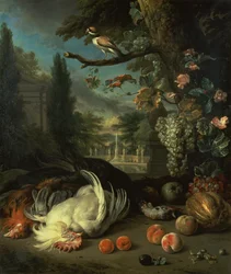 Dood gevogelte