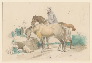 Boer met twee paarden bij een trog met water