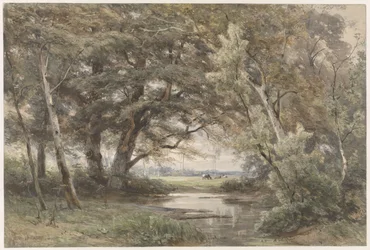 Watertje onder bomen aan het einde van een bos