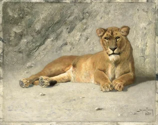 Leeuwin rustend