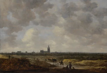 Zicht op Den Haag vanuit het noordwesten