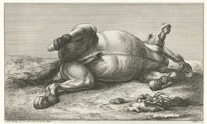 Gesneuveld paard liggend op de linkerzij