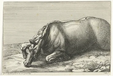 Gesneuveld paard op de linkerzij gezien