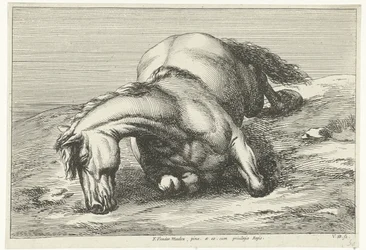 Gesneuveld paard op de rechterzij liggend