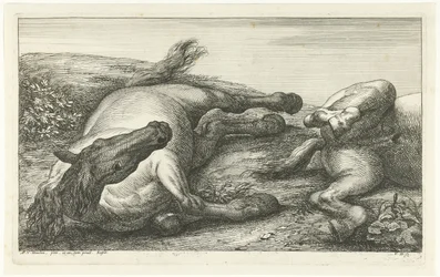 Twee gesneuvelde paarden waarvan de linker van voren gezien