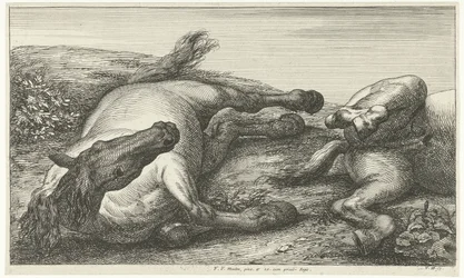 Twee gesneuvelde paarden waarvan de linker van voren gezien