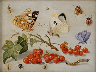 Een stilleven met takje rode bessen, vlinders, kevers, rups en insecten
