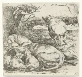 Teefje met puppies