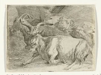 Twee geiten en twee schapen