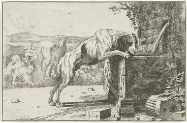 Hond bij een fontein