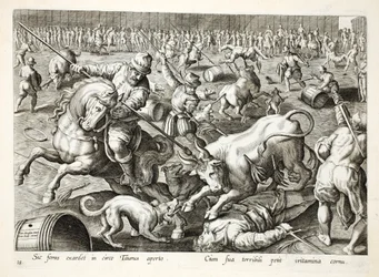 Een massale stierengevecht in een omheining, illustratie uit 