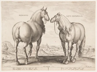 Een Romeins Paard, uit de eerste set van "Equile Joannis Austriaci"