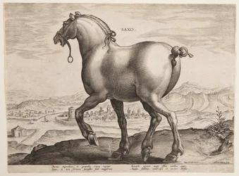 Een Saksisch paard, uit de eerste set van 