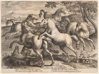 Vechtende Paarden, uit de vierde set van "Equile Joannis Austriaci"
