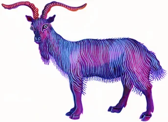 Geit Steenbok