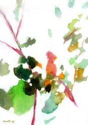 Botanische binnenplaats, ca. 2023 (water op papier)