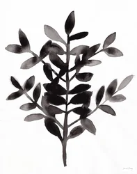 Botanisch met Nagi Fern III (inkt op papier)