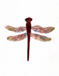 Libelle op Creekside Lane, c.2019 (watermedia op papier)