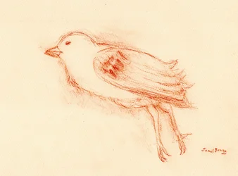 Kwetsbaarheid en dood in de zomer (Dead Bird by my Stairwell III) c.2021 (pastel op papier)