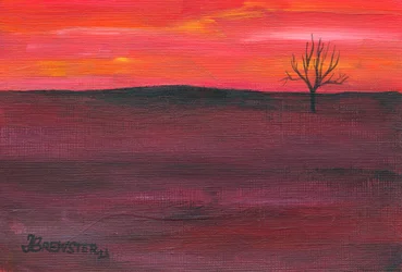 Eenzame boom bij zonsondergang
