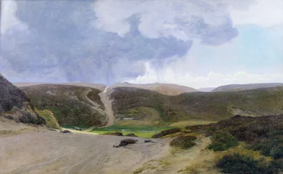 Scandinavisch Landschap