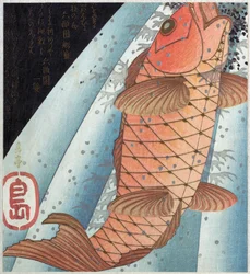 Koi Karper; pub. ca. 1820