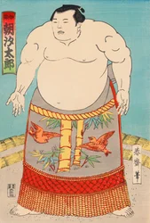 De sumoworstelaar Asashio Taro