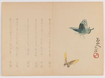 Twee vlinders, c.1860
