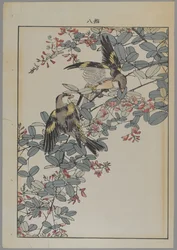 Twee vogels met roze bloemen, Meiji periode, ca. 1868-1912