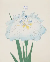 U-Chu, nr.25, 1898