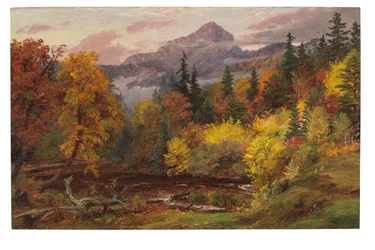Herfstbladeren in de Witte Bergen (Mount Chocorua)